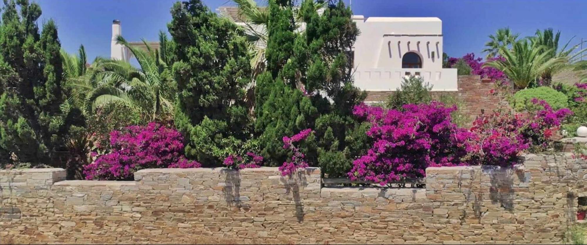 Villa Pari Manda Агиос-Прокопиос Экстерьер фото